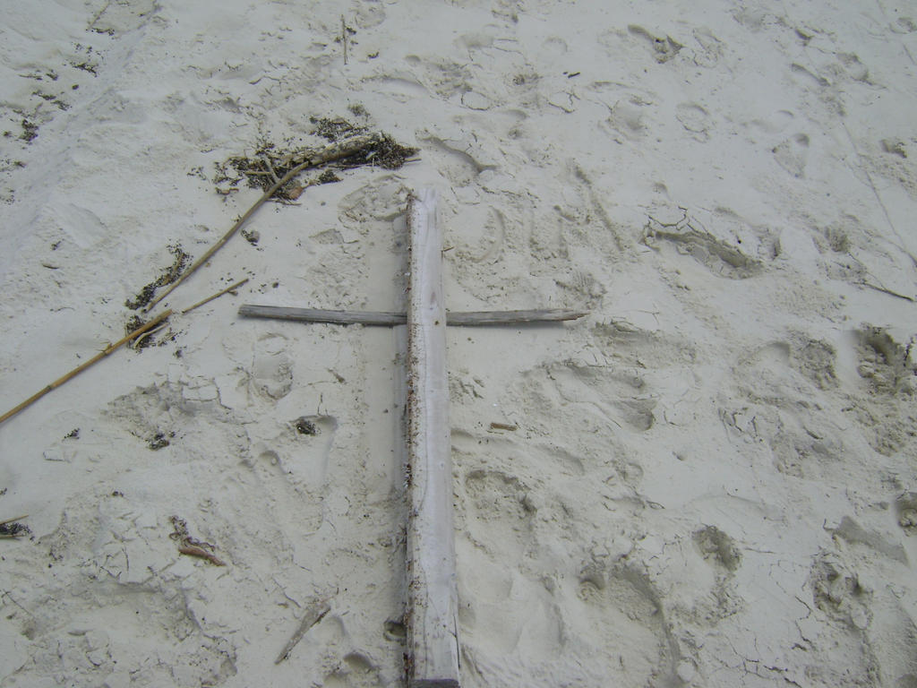 cross by darknessthehedgehog3 on DeviantArt