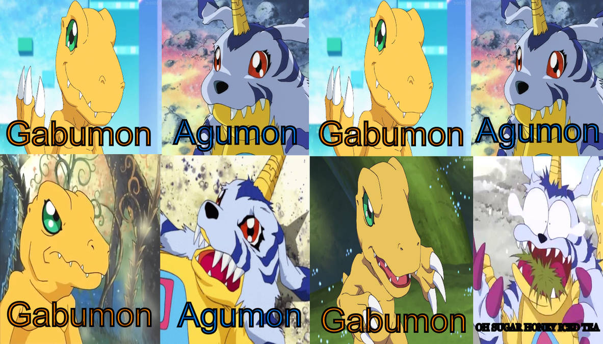 Oh Sugar Honey Iced Tea (digimon Style) by Jacobfrancois on DeviantArt