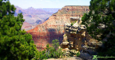 GRAND CANYON BEAUTY