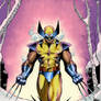 Wolverine by JMan_3H-colors