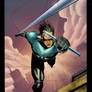 Nightwing colors