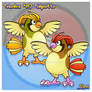 017 Pidgeotto