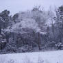 snow in MB SC 2-13-2010 11