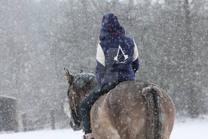 Assassin's Creed Girl with horse