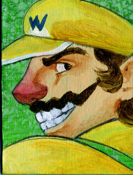 Wario study