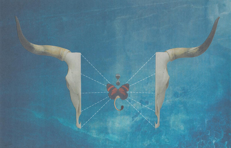 Bull Skull (Exploded view) by hrn on DeviantArt