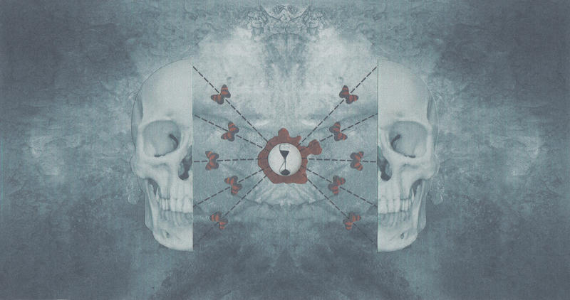 Human Skull (Exploded View) by hrn on DeviantArt