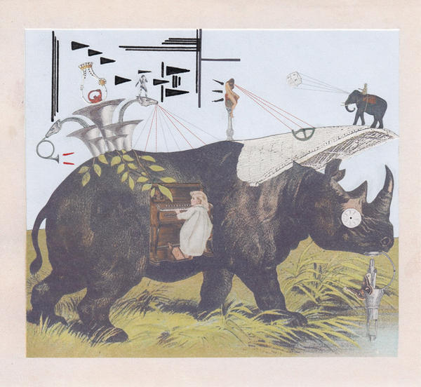 Rhino Composition by hrn Rhino Composition by hrn