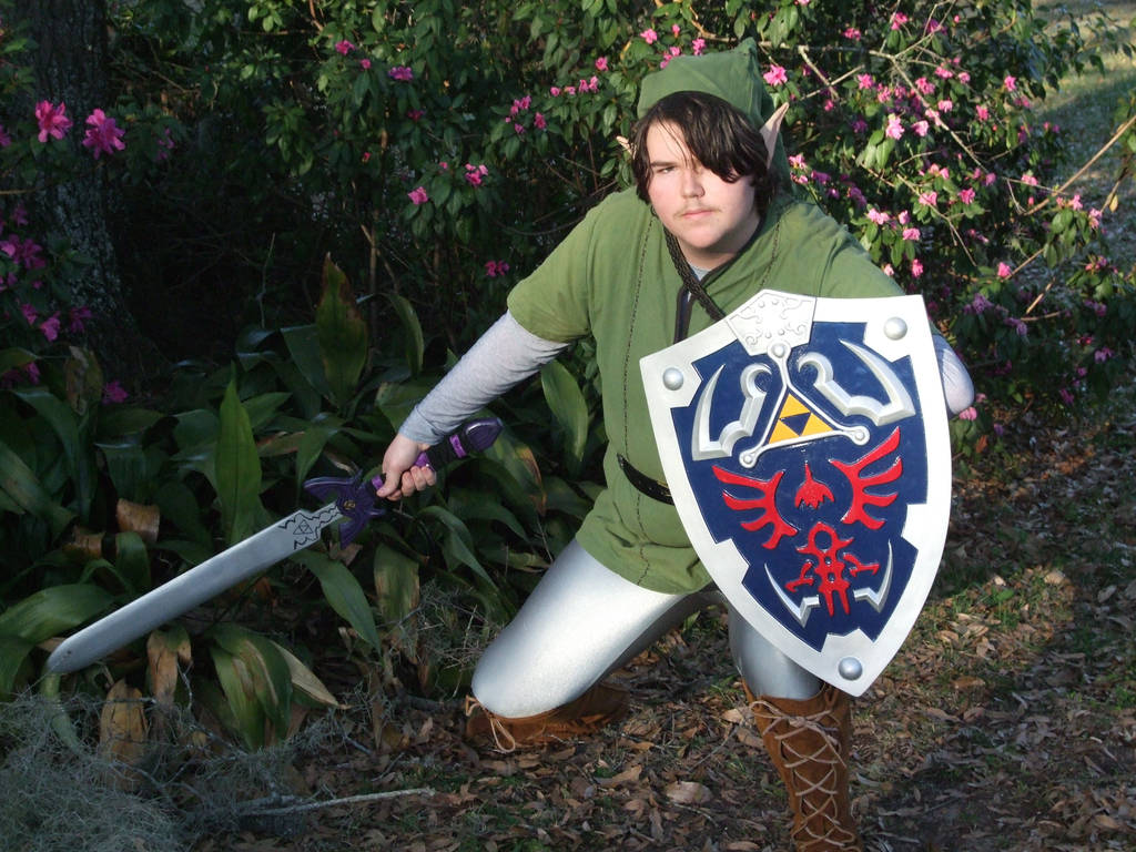 Link Cosplay 2 by linkinspirit95