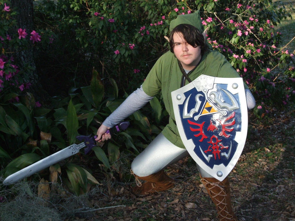 Link Cosplay 3 by linkinspirit95