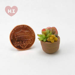 Miniature Potted Succulent 2