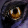 Wolfs Eye