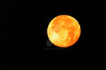 It's The Moon by tarheel4life