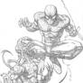 Spidey and Carnage