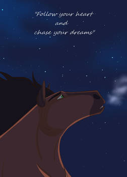 Chase your dreams