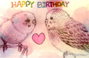 Budgerigar_Birthday_Card_01