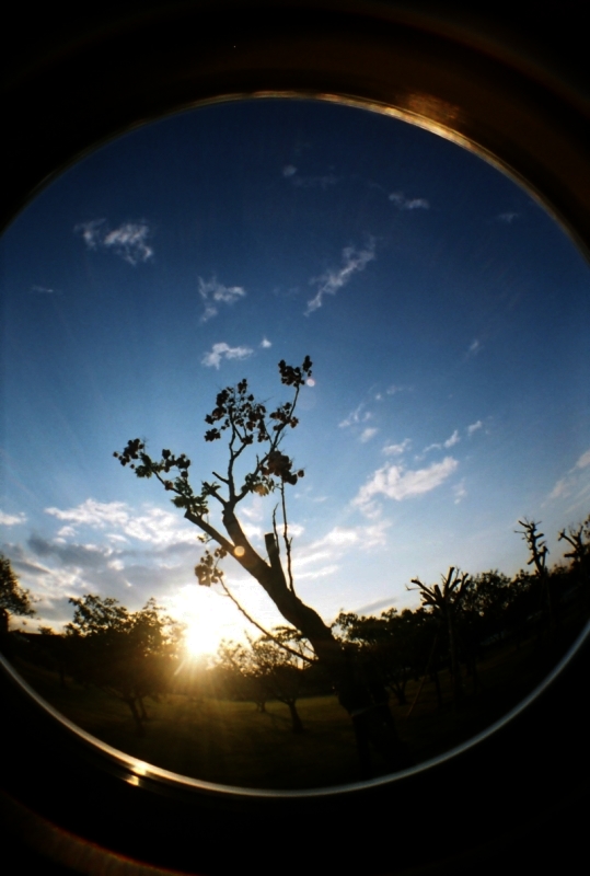 thru my FishEye