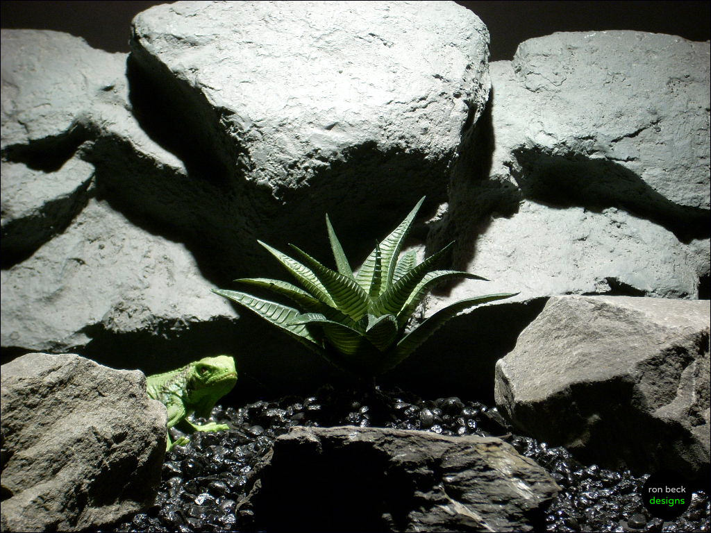 Reptile Habitat Plants | Aloe