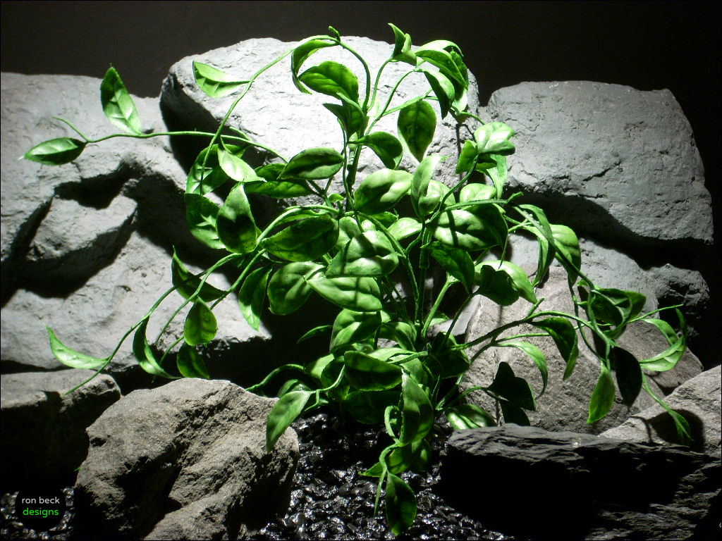 plastic aquarium plants | wondering vine