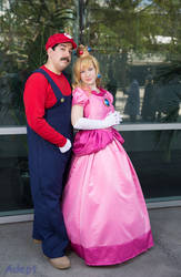 The Princess and the Plumber