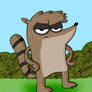 Regular Show - Rigby's Frown