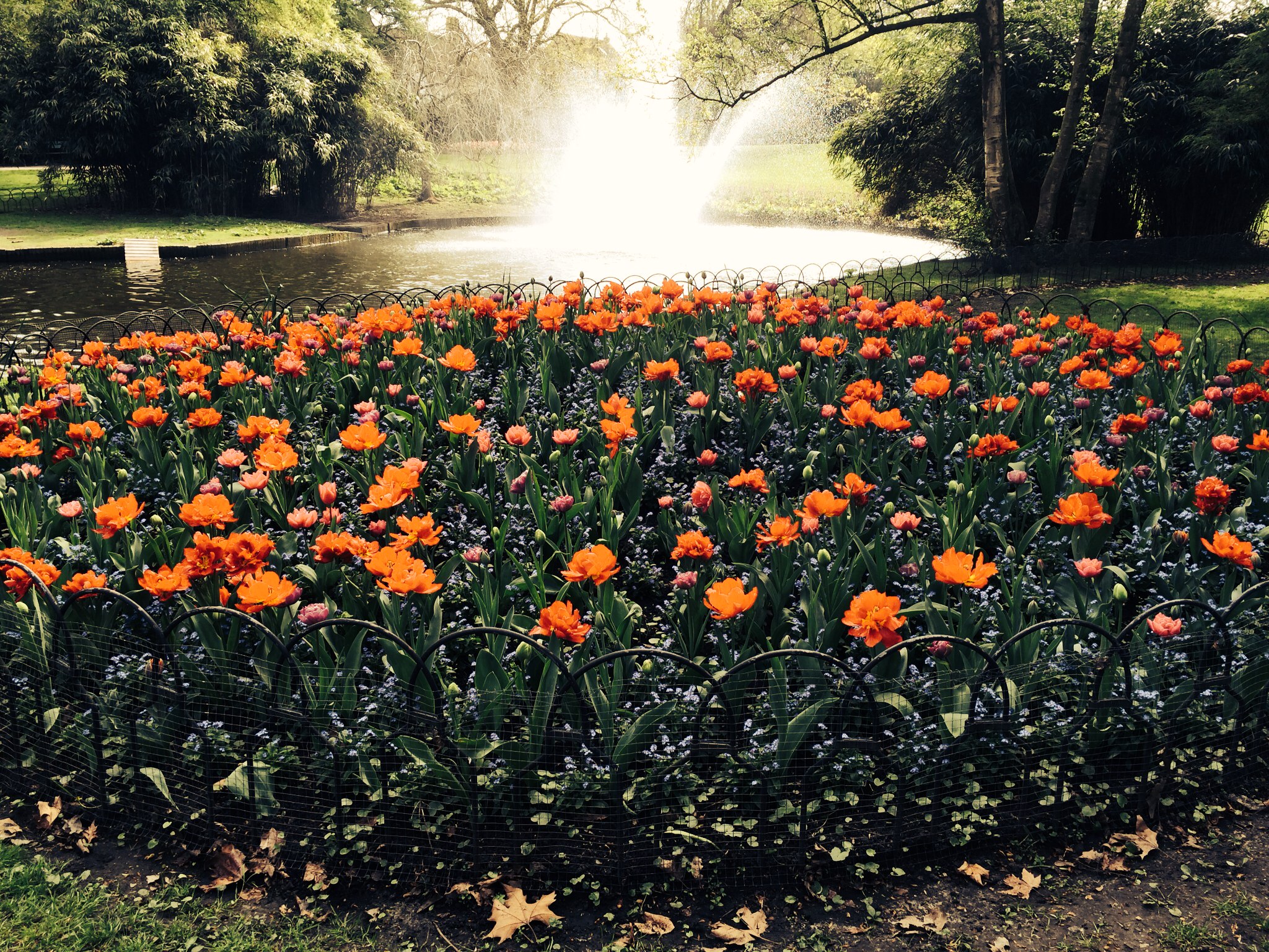 Queen Astrid Park - Bruges II