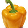 Yellow Pepper