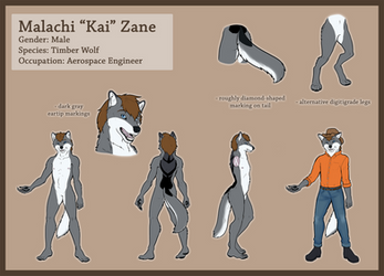 Kai Zane Ref Sheet Commission