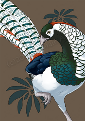 Lady Amherst Pheasant Notebook Design