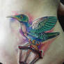 Tattoo - Colibri