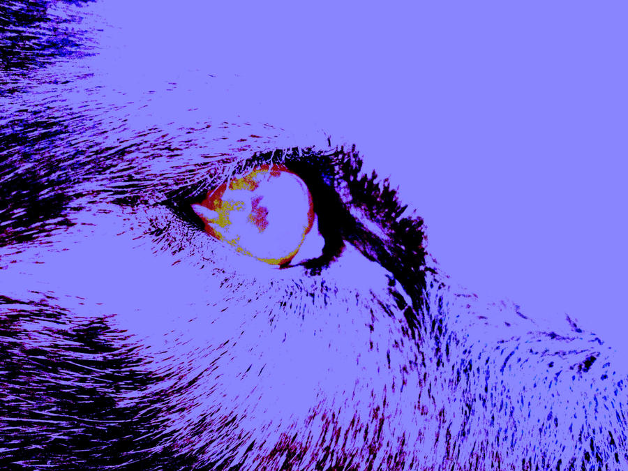 Red eye by Stephan-x7