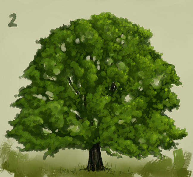 Tree Practice