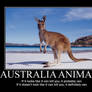 Aussie Animals Demote Poster