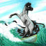 YHH Sporty Horses II - Surf I