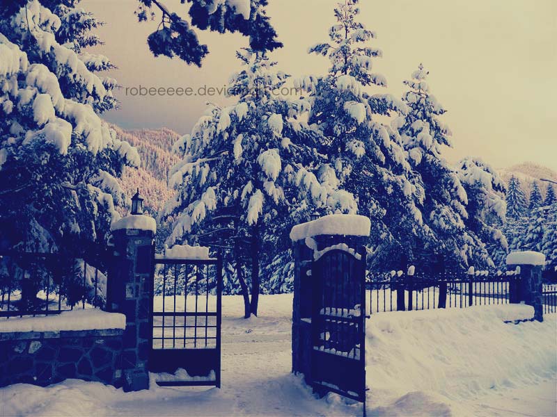 Winter land..