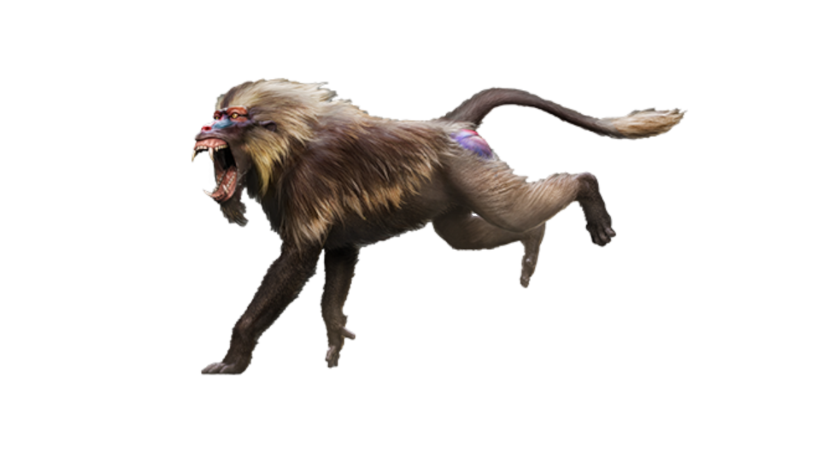 Dinopithecus Deviantart Dina Dinopithecus by SuperRaptorM on DeviantArt