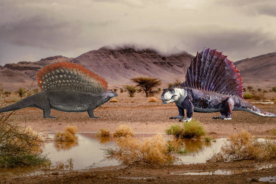Edaphosaur Edaphosaurus vs Dimetrodon by SuperRaptorM on DeviantArt