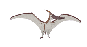 Pete the Pteranodon