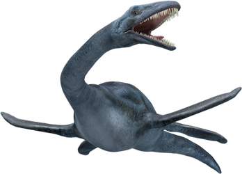Nessie