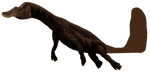 The Bunyip
