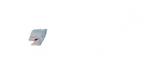 The Ningen