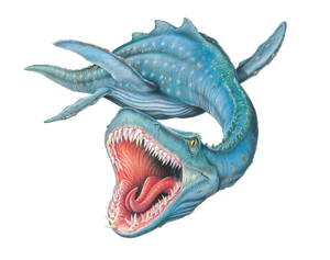 Morgawr