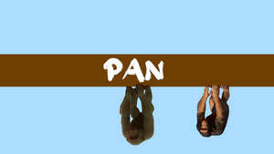 Pan