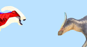 Duck Billed Differences