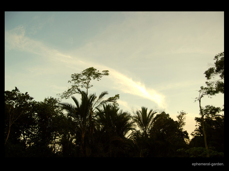 Comet Cloud