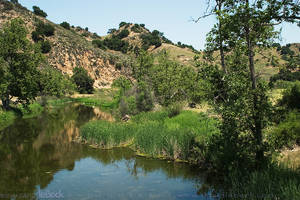 Malibu Creek 024