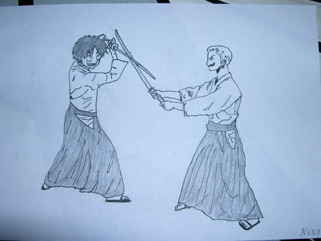 Aikido Luffy and Zoro