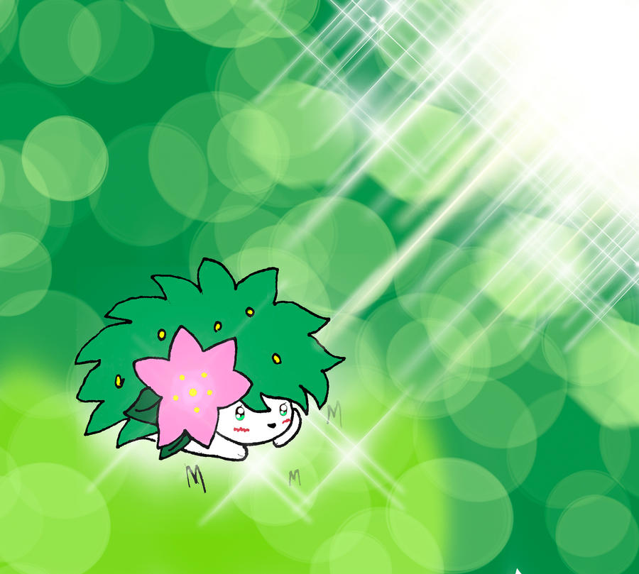 Sunny Shaymin