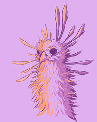 Pretty purple bird