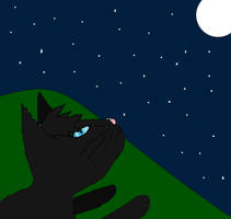 pic 4: stargazing